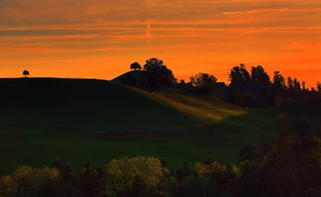 揭秘网红黑料zztt48背后的真相与故事 揭秘网红黑料zztt48背后的真相与故事