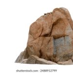 日漫 漫画 无删减:探索那些让人热血沸腾的经典作品与新作 f8wr62y