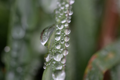 揭秘网红黑料背后的正能量故事与启示 揭秘网红黑料背后的正能量故事与启示