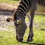 揭秘王雨纯与周于希的背景与成就 h3se7