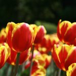 最新电影在线观看2024:畅享年度最热电影,尽在你的掌握中! nh8gcvrpu