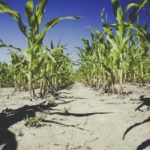 揭秘秀人网内购:如何轻松享受超值购物体验 nlvp0faqa