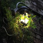 揭秘维密圈破解版资源的获取与使用技巧 rmgpe0h