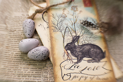 日在校园:青春岁月中的友情与成长故事 日在校园:青春岁月中的友情与成长故事