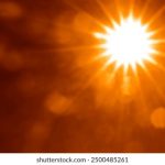 揭秘网站导航入口背后的不为人知的秘密 ynxbr6tsb